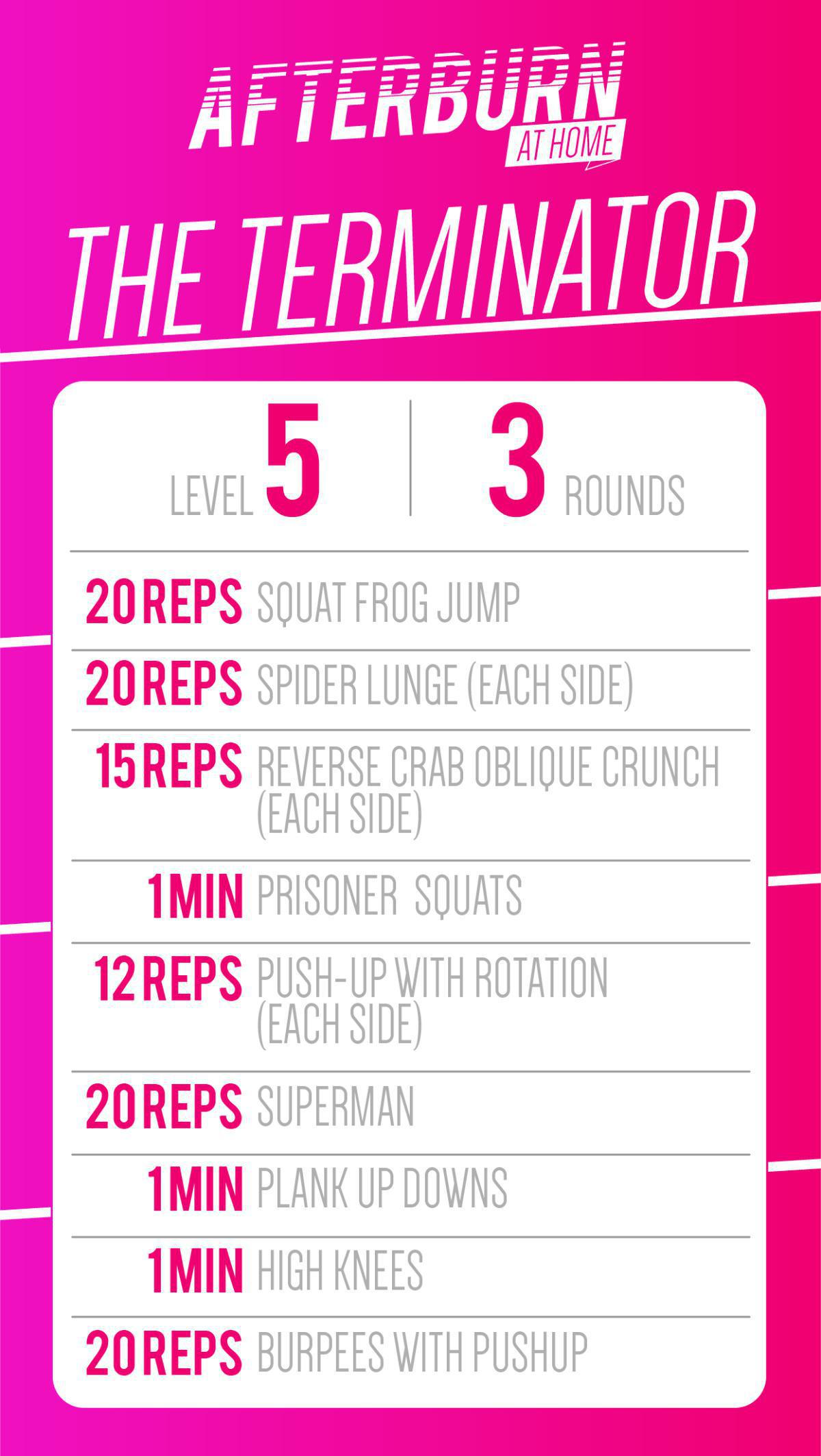 THE TERMINATOR THE TERMINATOR