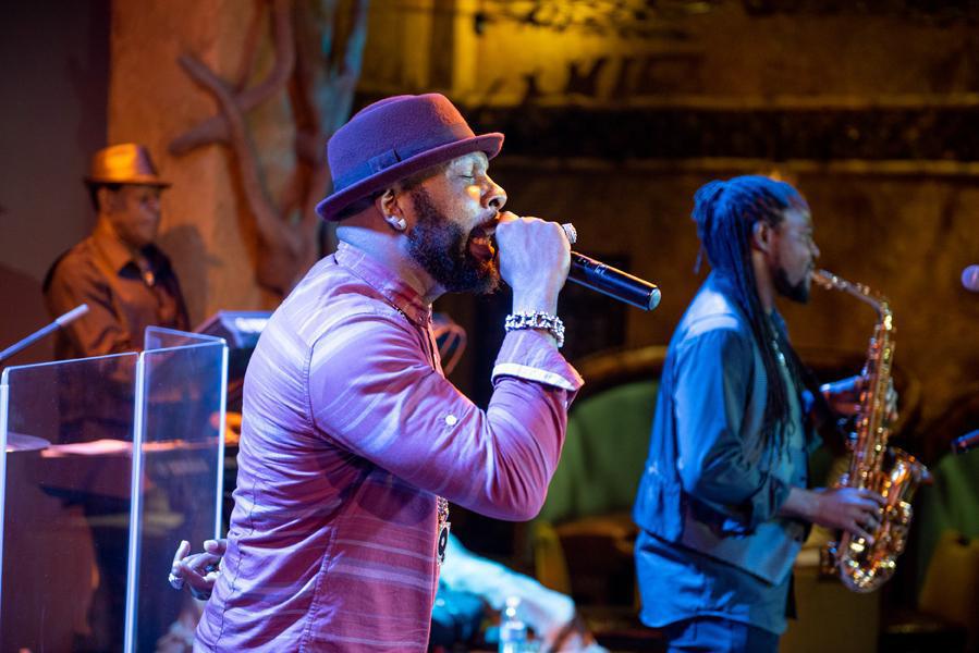 Coral Cliff Gaming Coral Cliff Gaming