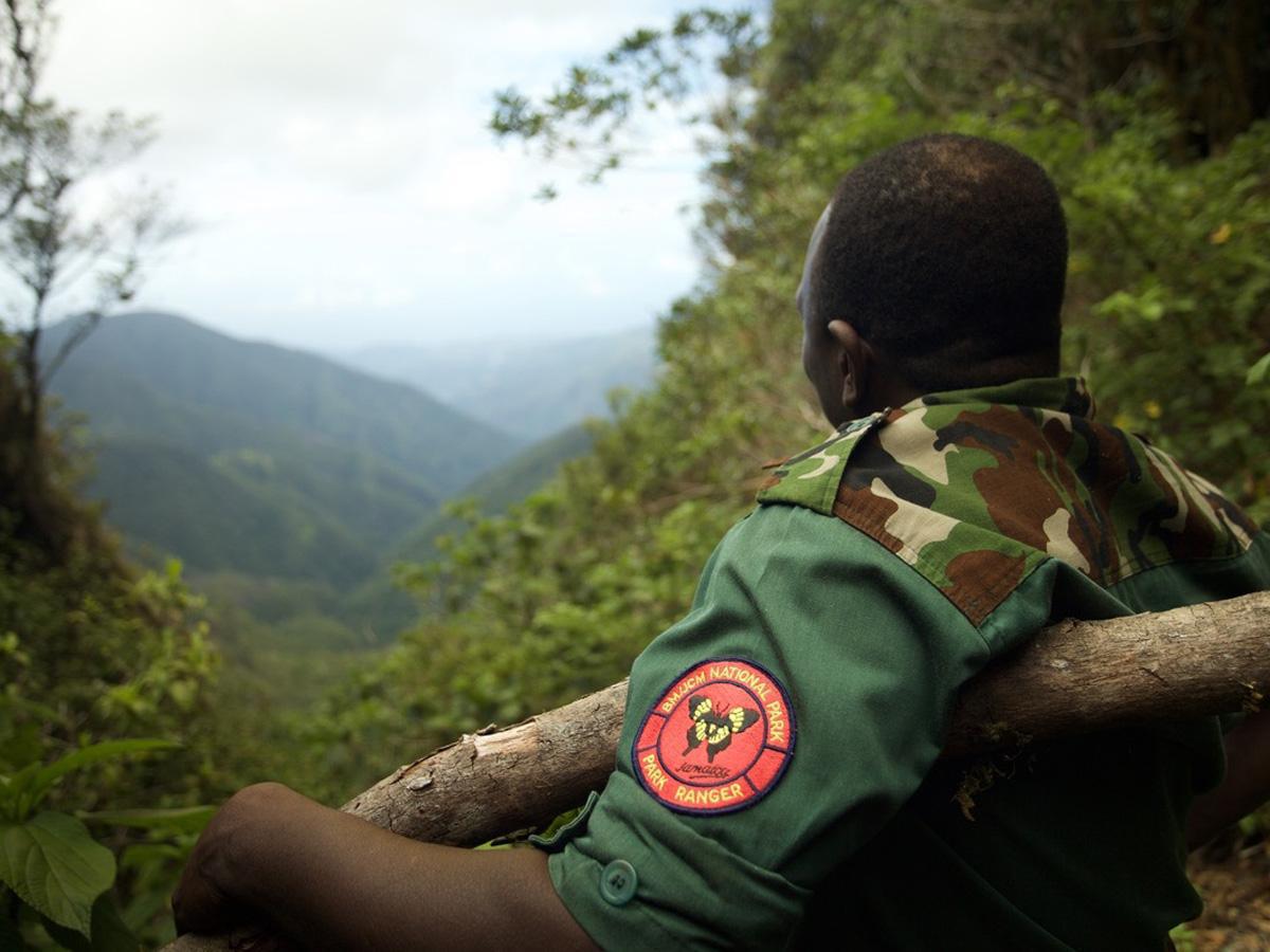 Blue & John Crow Mountains, Kingston Blue & John Crow Mountains, Kingston