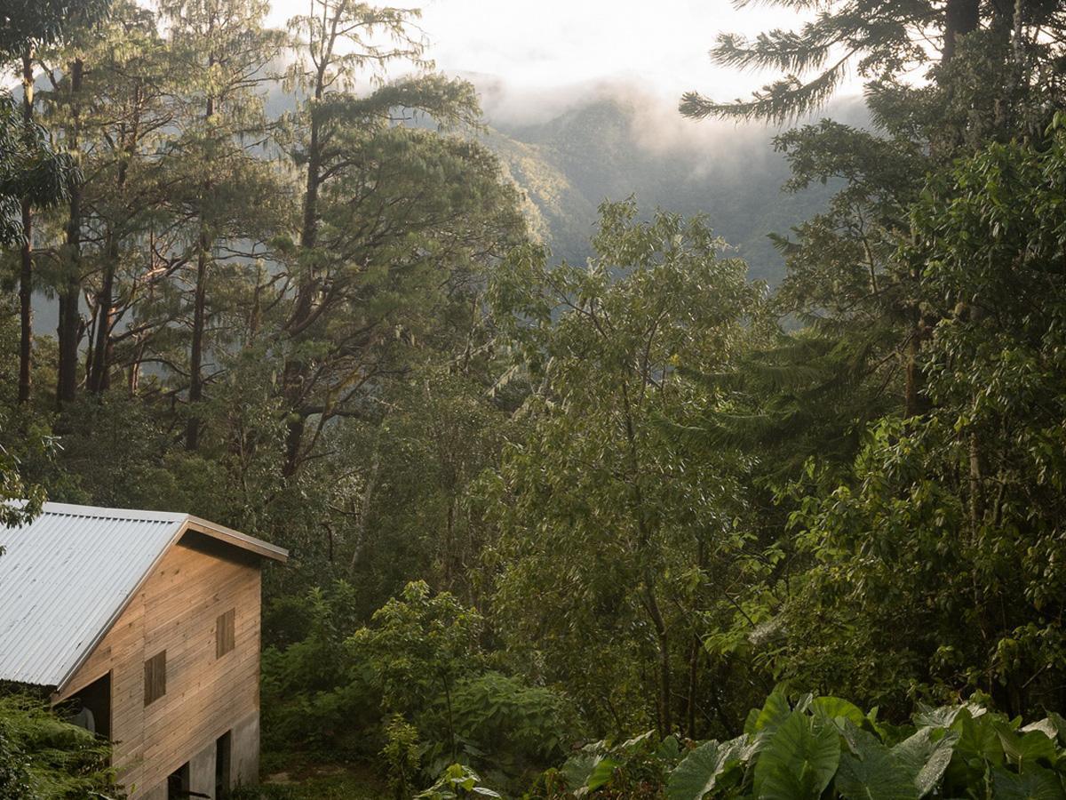 Blue & John Crow Mountains, Kingston Blue & John Crow Mountains, Kingston