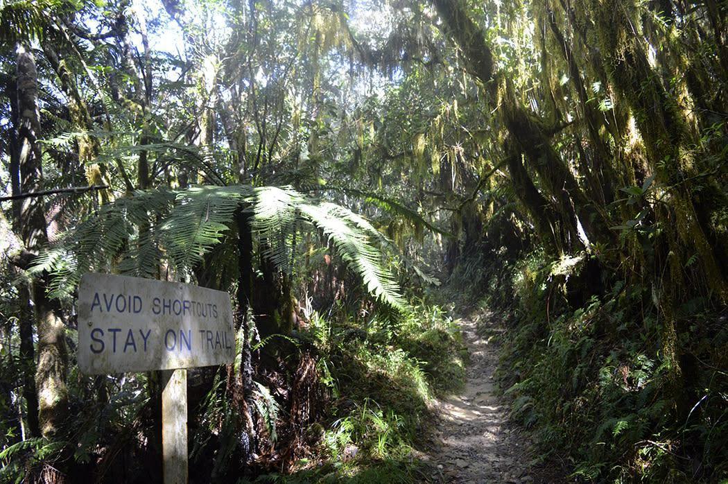 Blue & John Crow Mountains, Kingston Blue & John Crow Mountains, Kingston