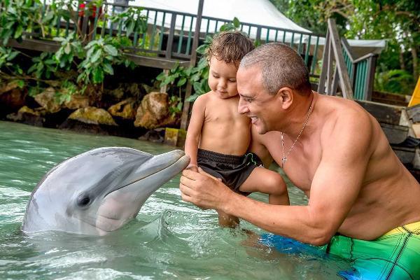 Dolphin Cove, Ocho Rios & Montego Bay