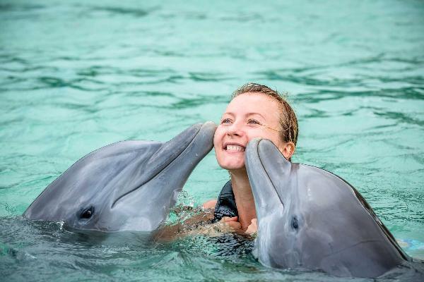 Dolphin Cove, Ocho Rios & Montego Bay