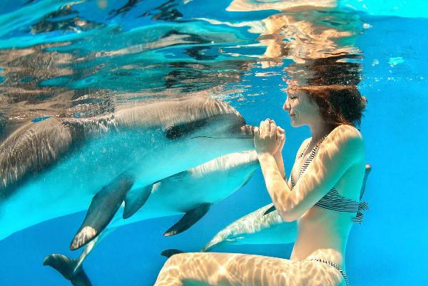 Dolphin Cove, Ocho Rios & Montego Bay