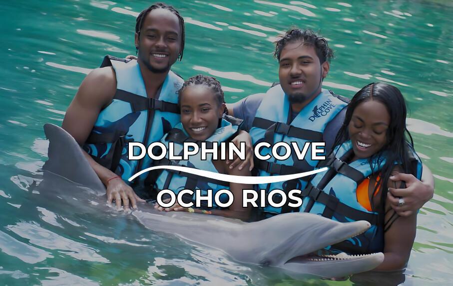 Dolphin Cove, Ocho Rios