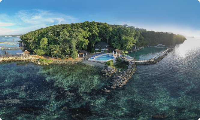 Dolphin Cove, Ocho Rios