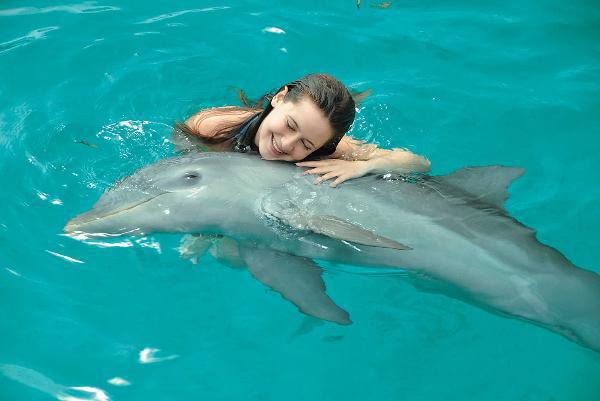 Dolphin Cove, Ocho Rios