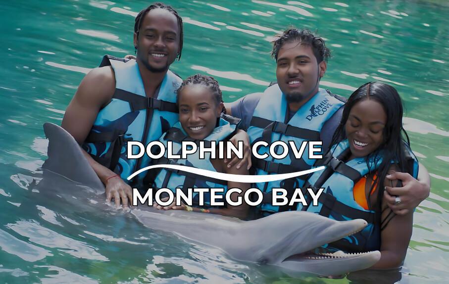 Dolphin Cove Montego Bay