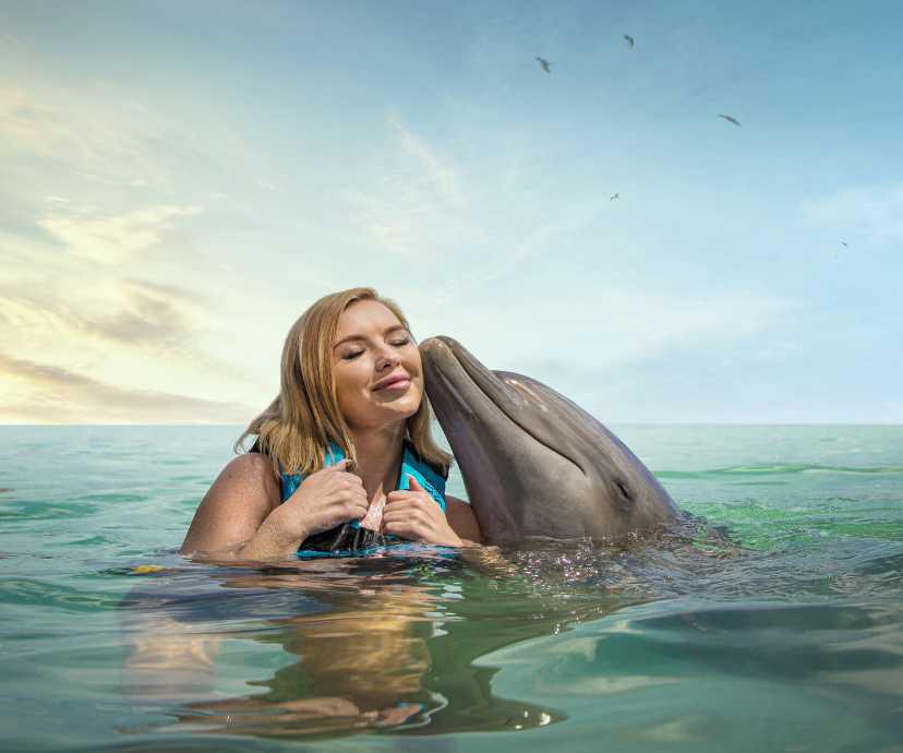 Dolphin Cove Montego Bay