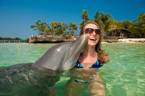 Dolphin Cove Montego Bay