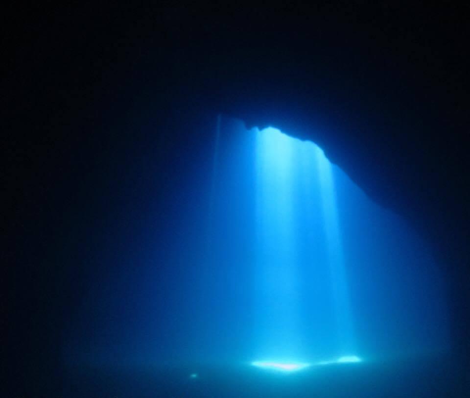 Ambiente Marino Ambiente Marino