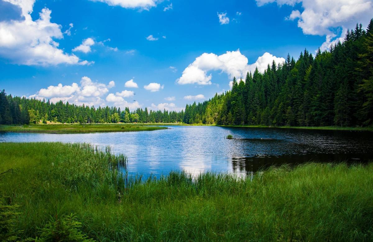 Feel rouge cafè filosofia Feel rouge cafè filosofia