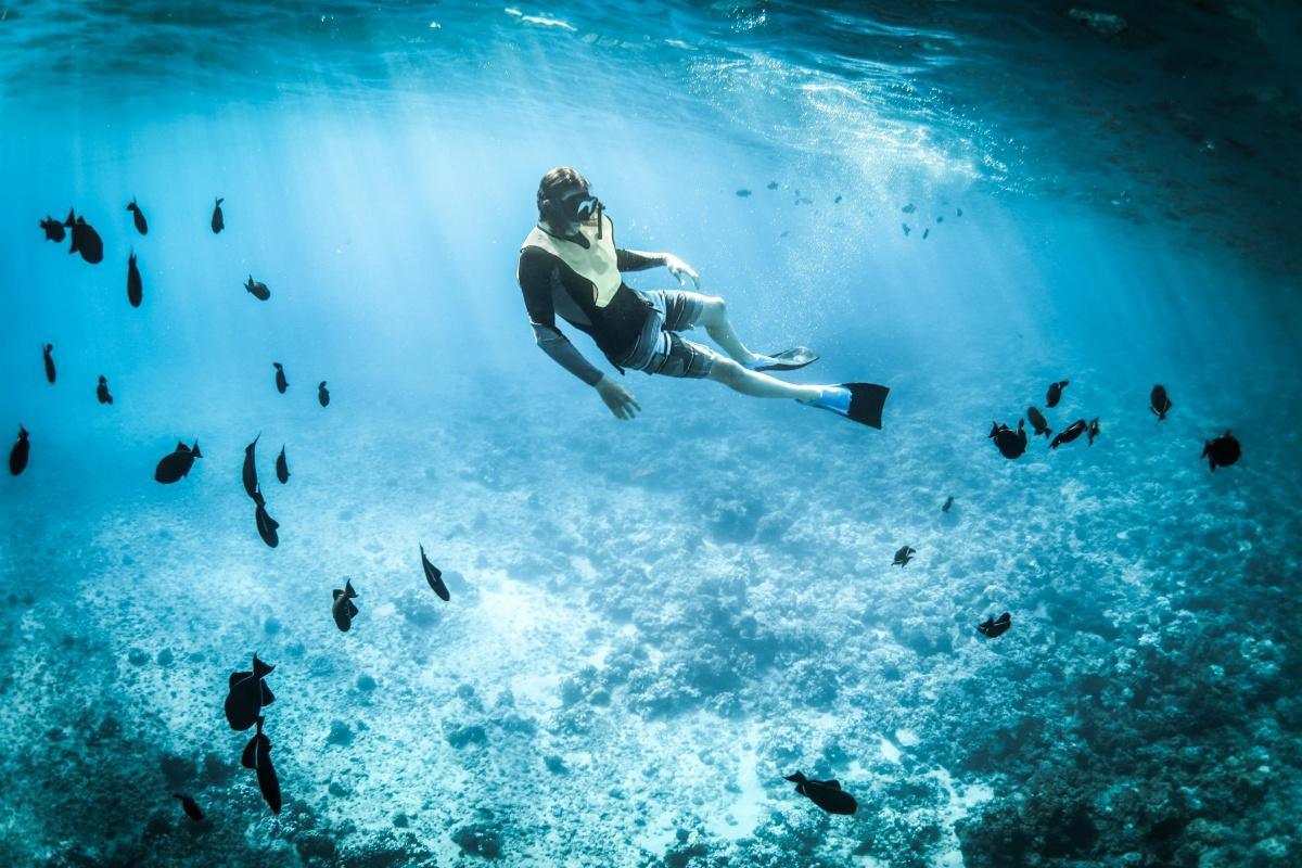 Snorkeling e immersioni