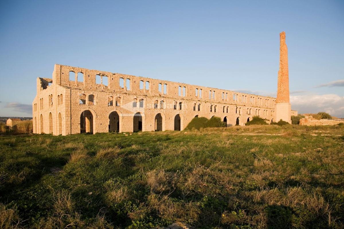 Passeggiate panoramiche e natura