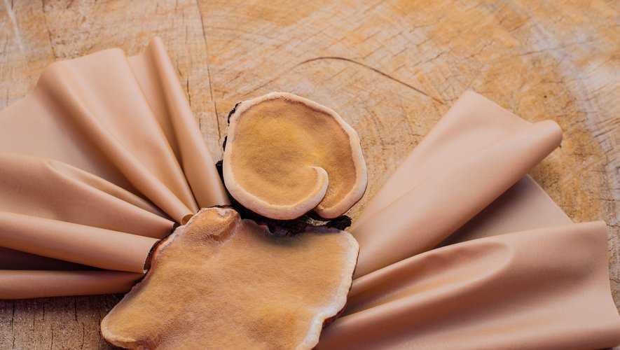 Cinq cuirs Vegan qui redessinent l’avenir de la mode