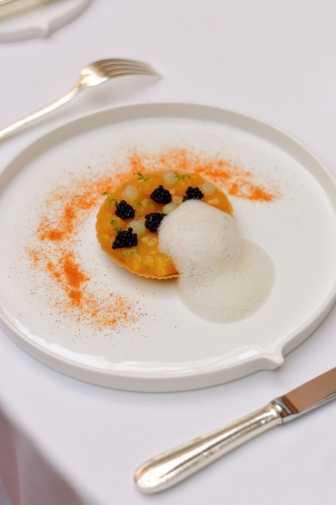 Vilnius : Quand la forêt s’invite à la table étoilée, la Gastronomie se met au vert Vilnius : Quand la forêt s’invite à la table étoilée, la Gastronomie se met au vert