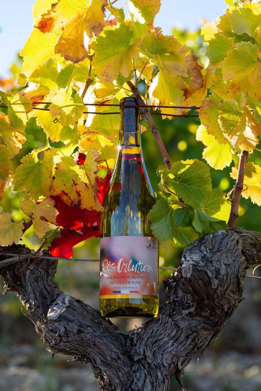 EthicDrinks lance "Résolution" : la nouvelle vague du vin bio et sans alcool