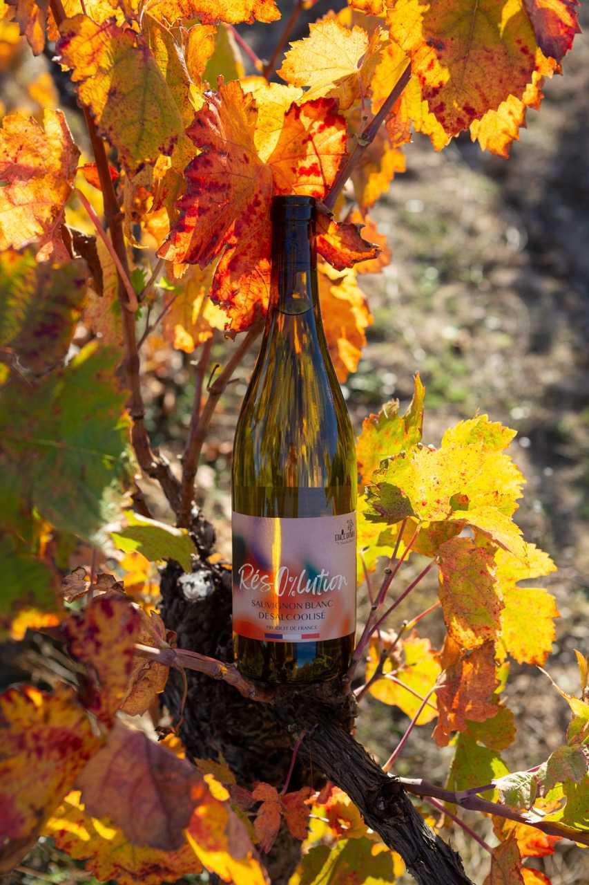 EthicDrinks lance "Résolution" : la nouvelle vague du vin bio et sans alcool