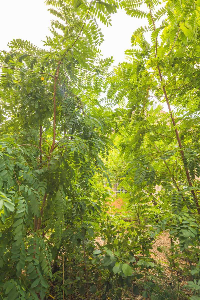 Hôtellerie : L'Hotel Luise d'Erlangen, pionnier d'une révolution circulaire Hôtellerie : L'Hotel Luise d'Erlangen, pionnier d'une révolution circulaire