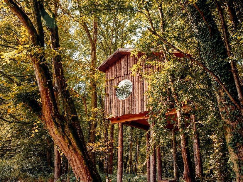 Les cabanes perchées de Coucoo Cabanes, un cocon suspendu entre ciel et nature !