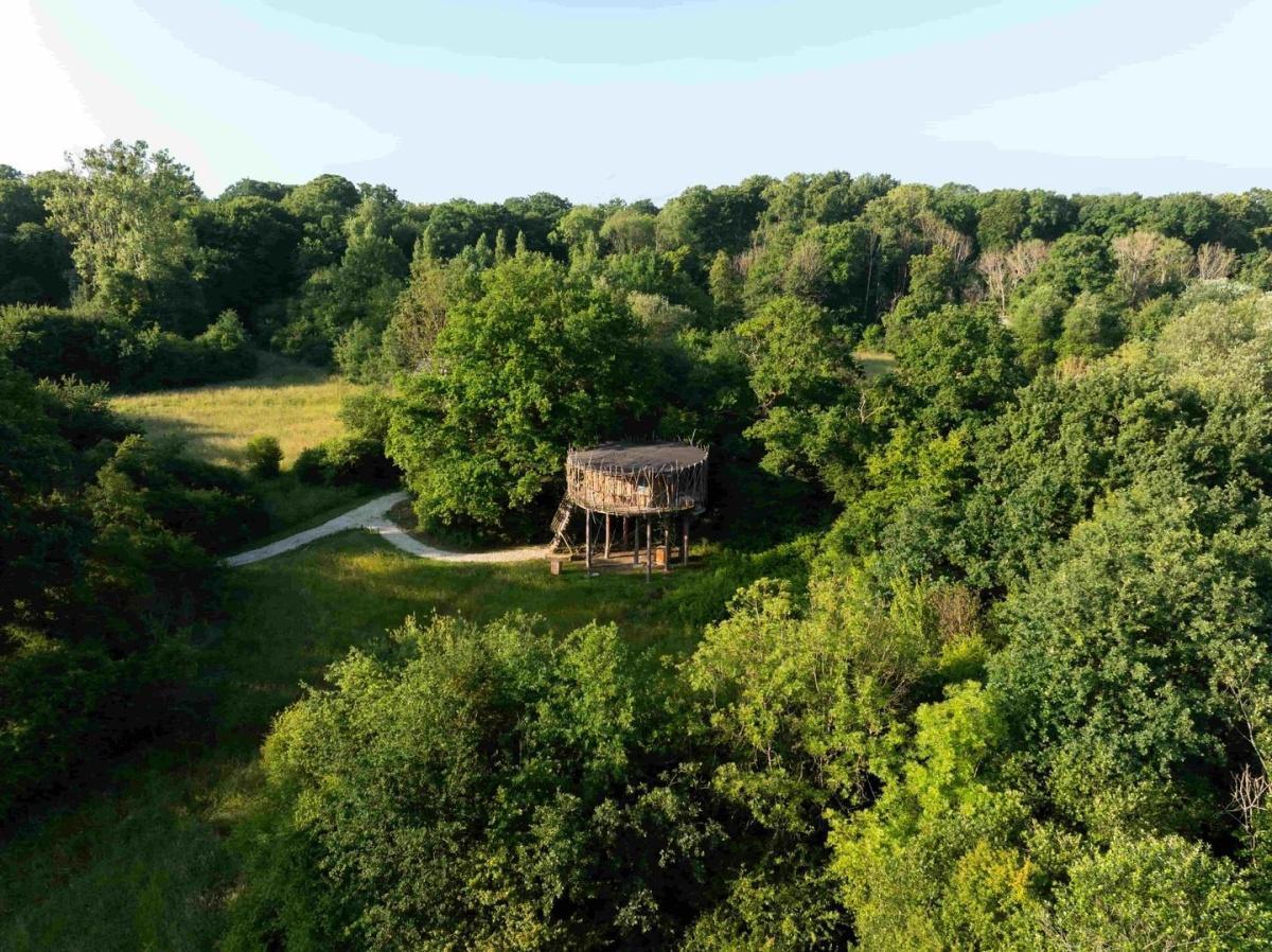 Les cabanes perchées de Coucoo Cabanes, un cocon suspendu entre ciel et nature !