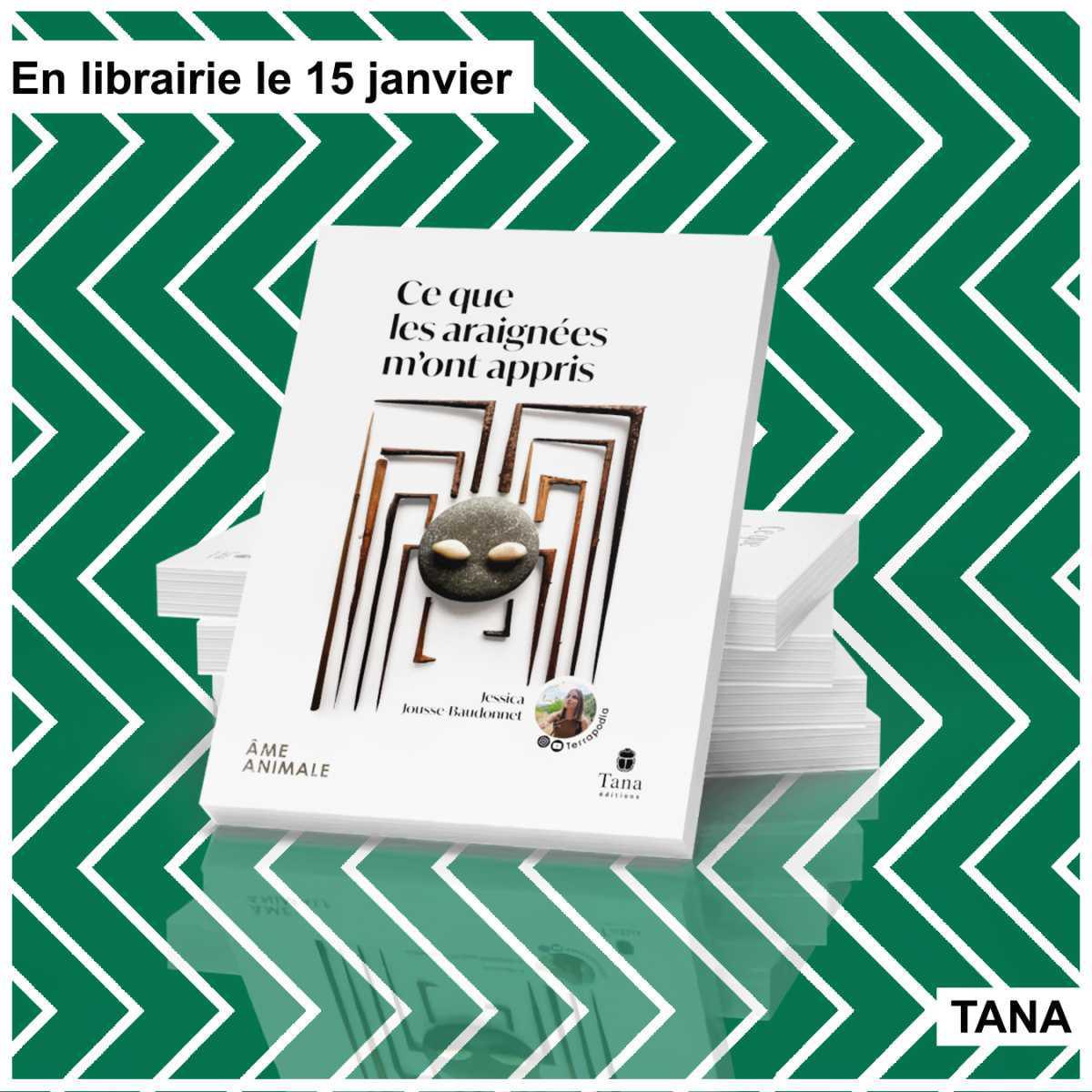 De la phobie à la fascination : pourquoi il faut lire « Ce que les araignées m'ont appris »