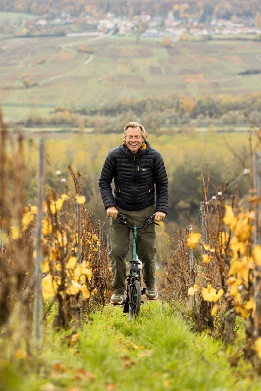 Ludovic du Plessis, Telmont : « La viticulture bio donne des vins plus expressifs, solaires, et pleins de vie » 