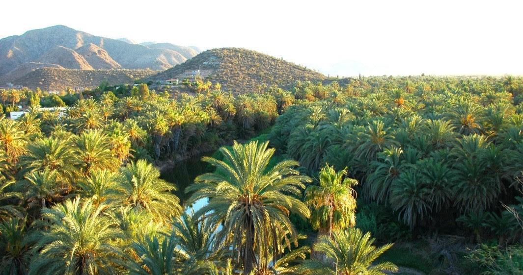 Un trésor de la Basse Californie sud : Le Parc national de Bahia de Loreto et les îles Coronados Un trésor de la Basse Californie sud : Le Parc national de Bahia de Loreto et les îles Coronados