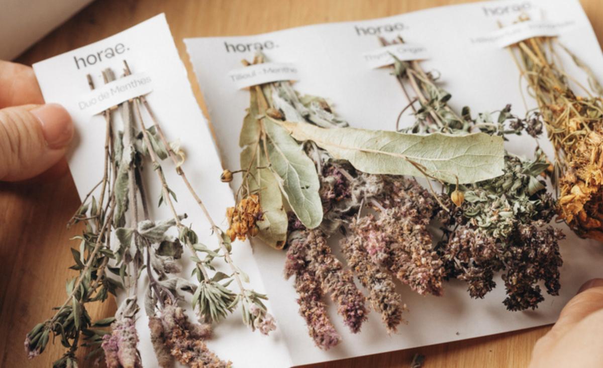 Horae redéfinit l'art de la tisane, un souffle de nature à savourer dans votre tasse Horae redéfinit l'art de la tisane, un souffle de nature à savourer dans votre tasse