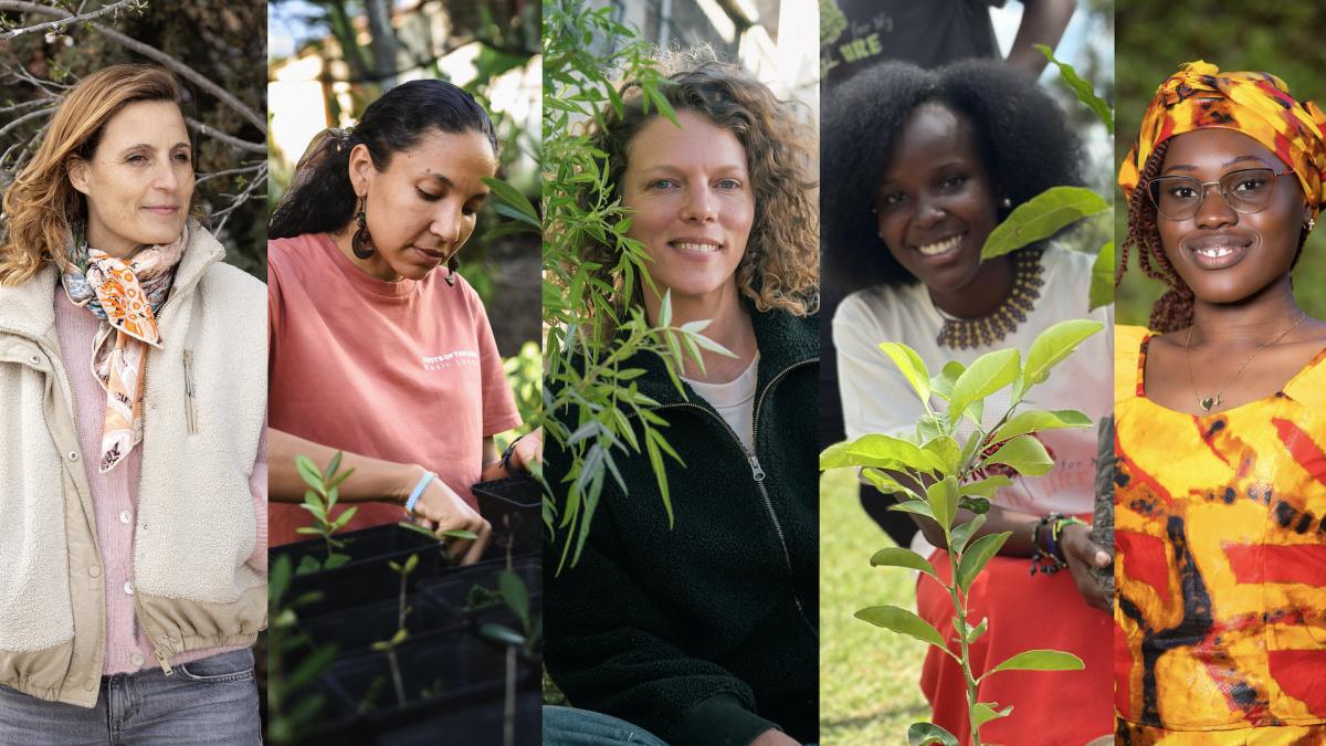 25 ans de Terre de Femmes : L'Arbre au Cœur du Combat de Cinq Lauréates d’Exception 25 ans de Terre de Femmes : L'Arbre au Cœur du Combat de Cinq Lauréates d’Exception