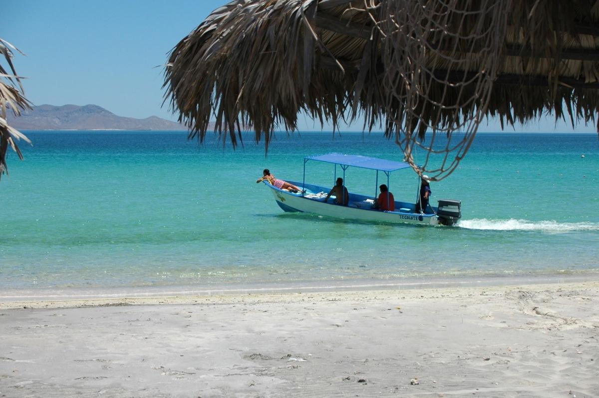Baja California : road trip nature au cœur d'un Mexique sauvage et préservé Baja California : road trip nature au cœur d'un Mexique sauvage et préservé