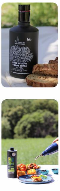 Terres de Bonaventure : l'huile d'olive centenaire, joyau bio du plateau de Valensole Terres de Bonaventure : l'huile d'olive centenaire, joyau bio du plateau de Valensole