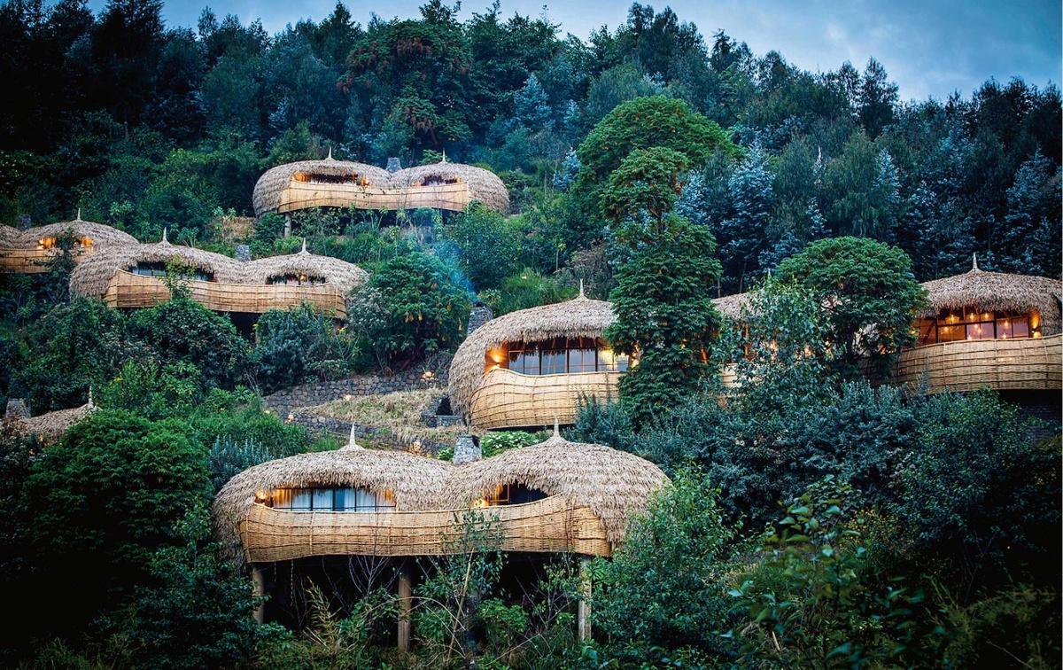 Wilderness Bisate Lodge : le joyau éco-luxe du Rwanda, entre gorilles et royauté tutsi