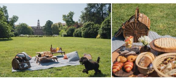 Portrait Picnic : une escapade champêtre au cœur de Milan