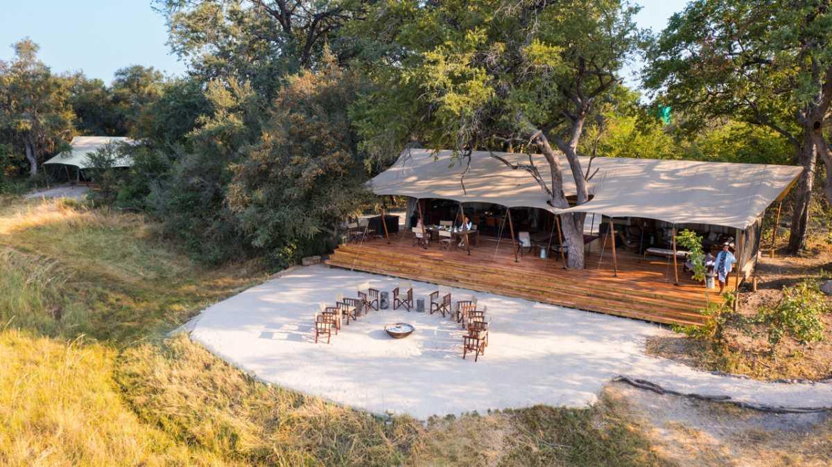 Quand le safari de luxe devient un levier de régénération écologique en Afrique