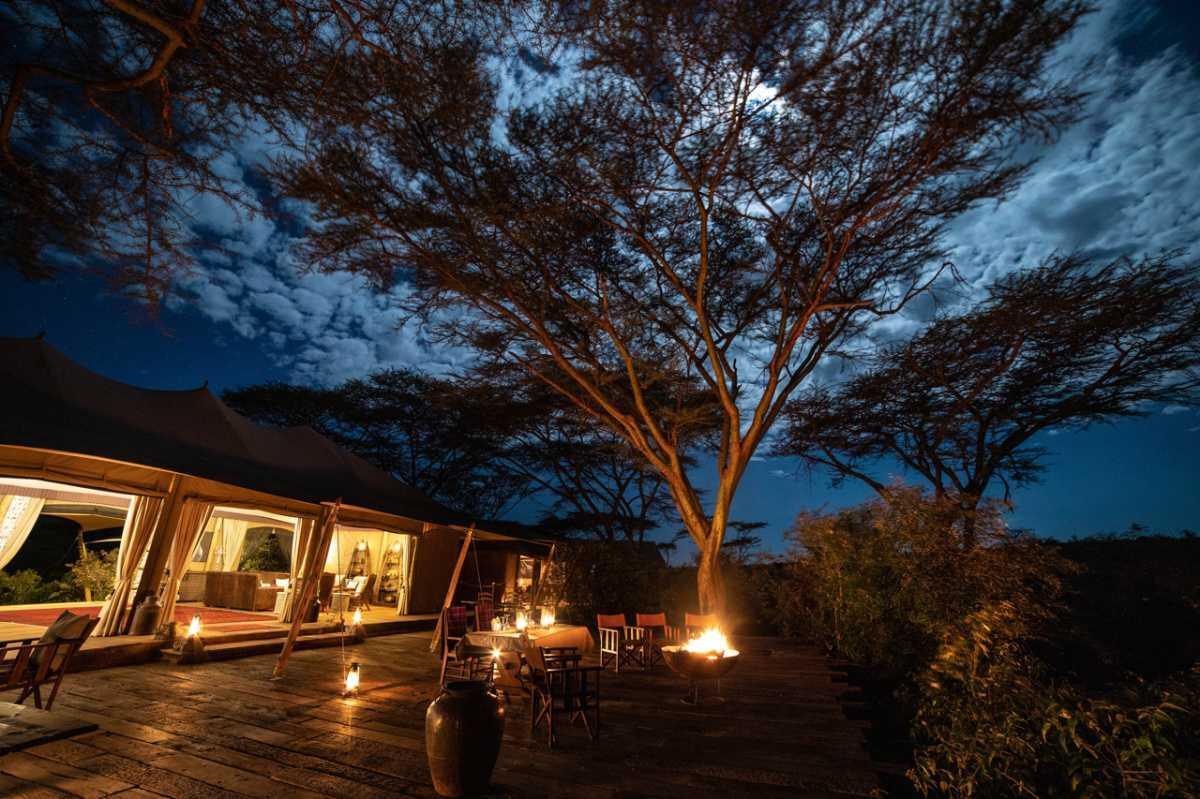 Quand le safari de luxe devient un levier de régénération écologique en Afrique