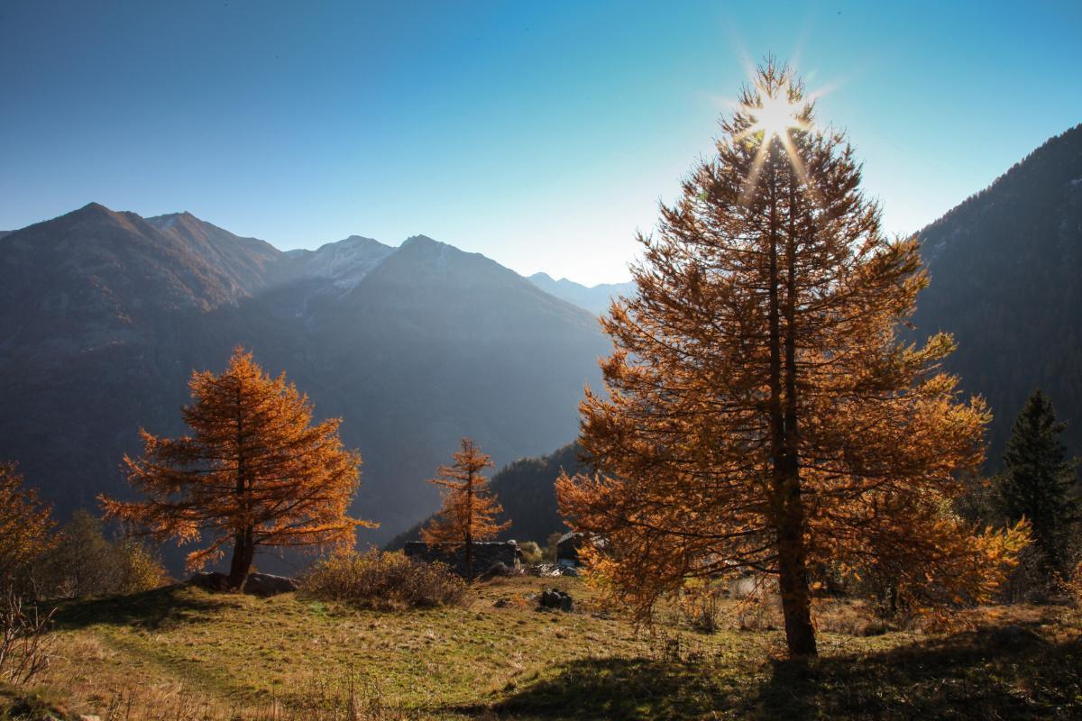 Vallée d'Aoste : l'automne qui redonne toutes ses couleurs aux Alpes italiennes Vallée d'Aoste : l'automne qui redonne toutes ses couleurs aux Alpes italiennes