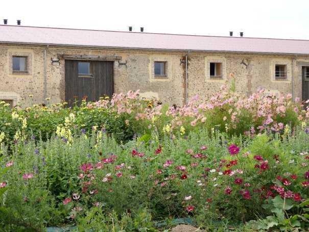 Grand Jardin : Quand l'agritourisme régénère le Perche et repense nos séjours