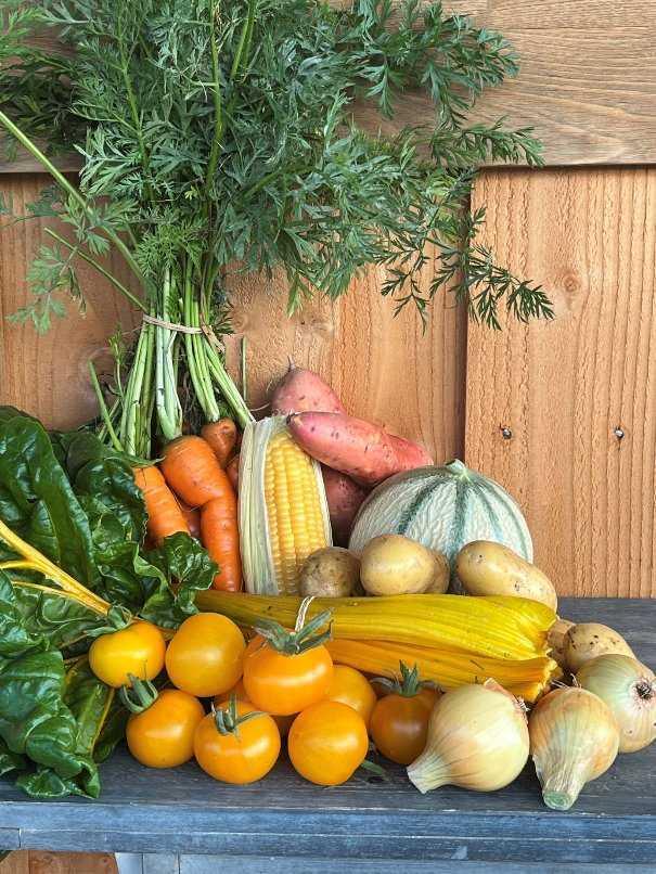 Grand Jardin : Quand l'agritourisme régénère le Perche et repense nos séjours