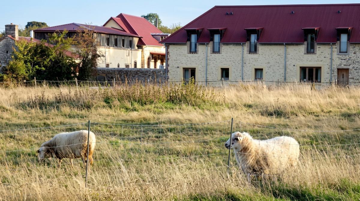Grand Jardin : Quand l'agritourisme régénère le Perche et repense nos séjours