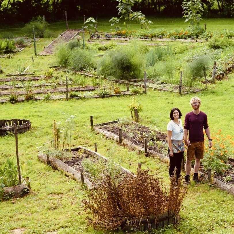 La Table de Gaya : quand la ferme devient le garde-manger du restaurant