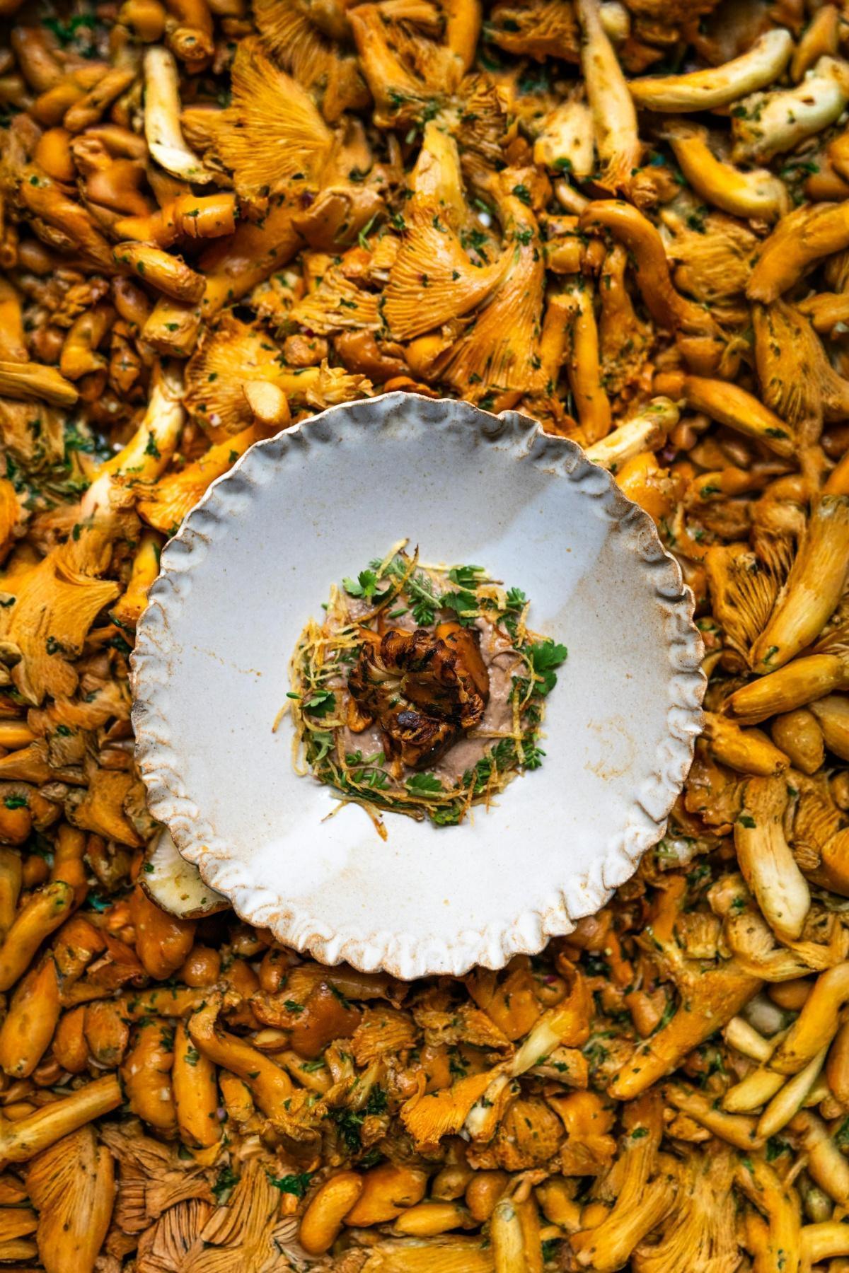 Restaurants bio à Paris : nos 10 meilleures adresses en 2026 Restaurants bio à Paris : nos 10 meilleures adresses en 2026