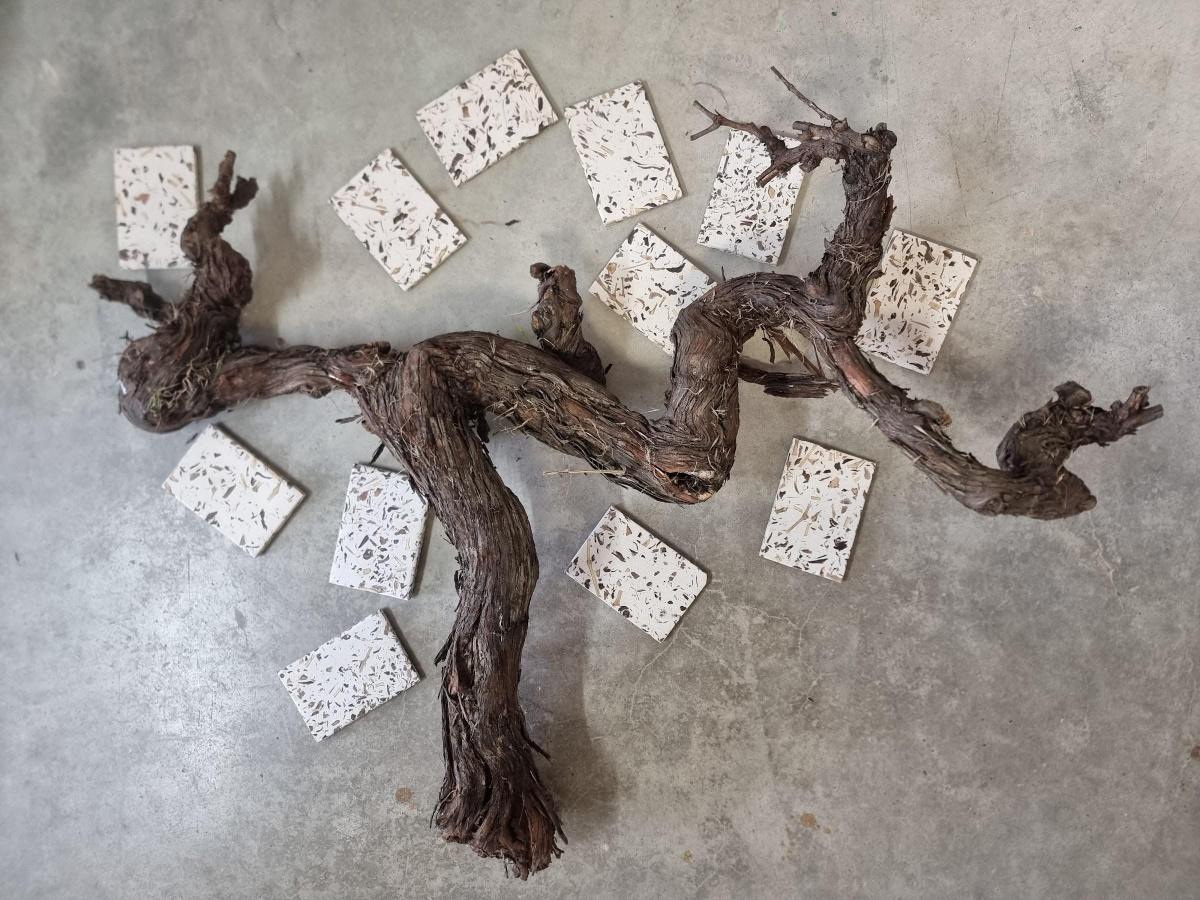 Les Princes Sarments : le bois de vigne devient un terrazzo haut de gamme Les Princes Sarments : le bois de vigne devient un terrazzo haut de gamme