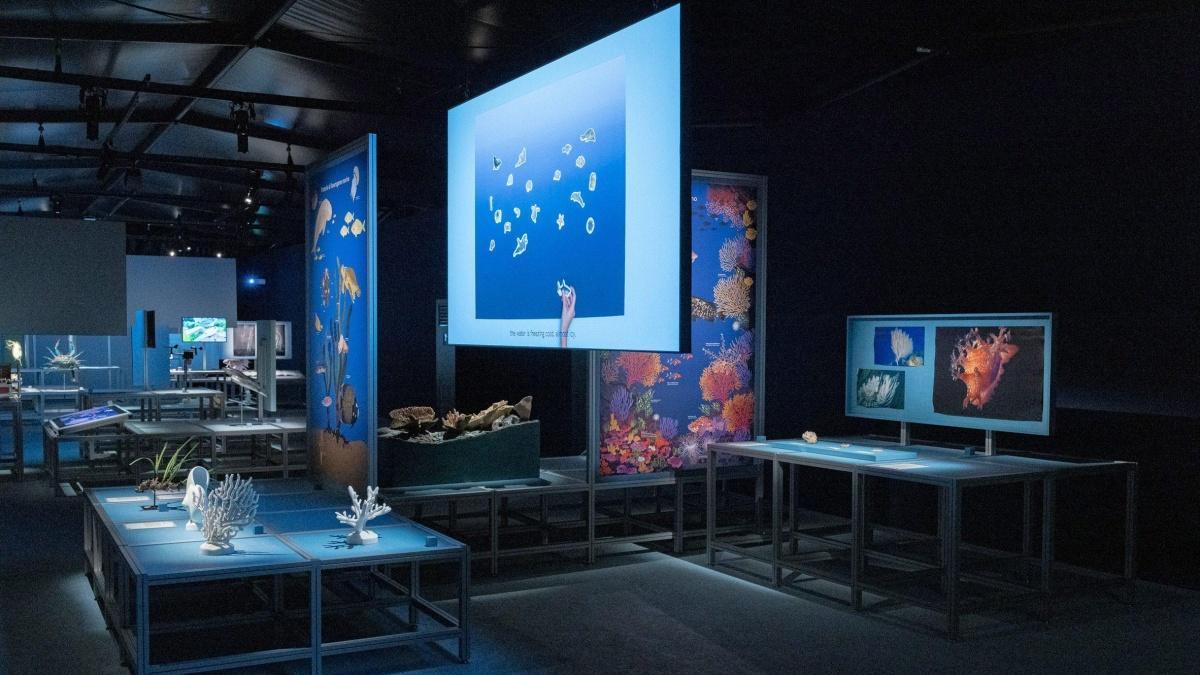 Prada et Formafantasma mettent le design au service de l'océan Prada et Formafantasma mettent le design au service de l'océan