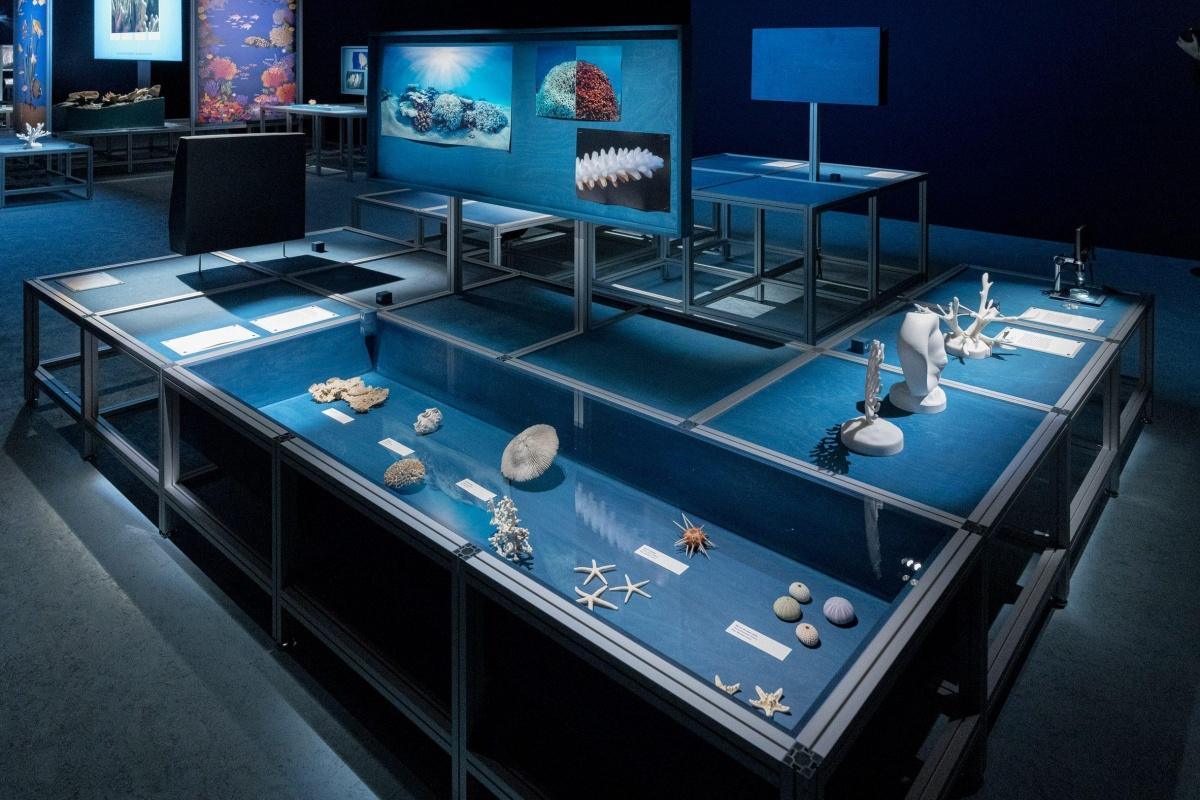 Prada et Formafantasma mettent le design au service de l'océan Prada et Formafantasma mettent le design au service de l'océan