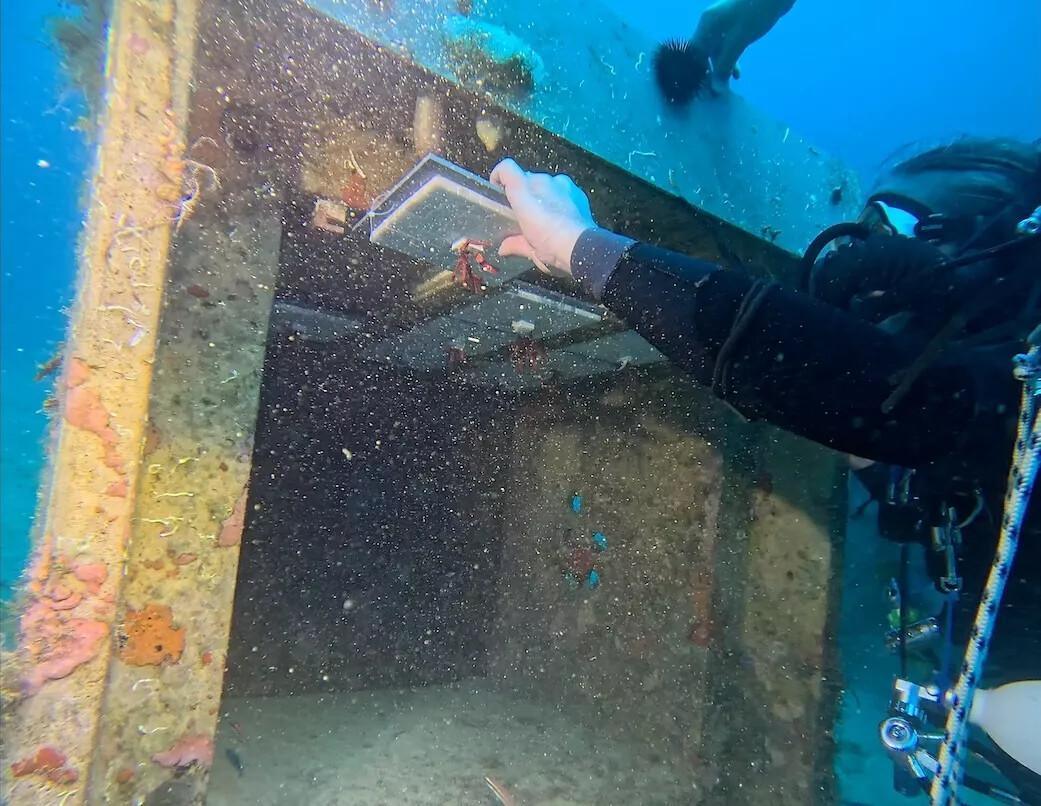 Chanel fait naître du corail rouge à 40 mètres sous Monaco Chanel fait naître du corail rouge à 40 mètres sous Monaco