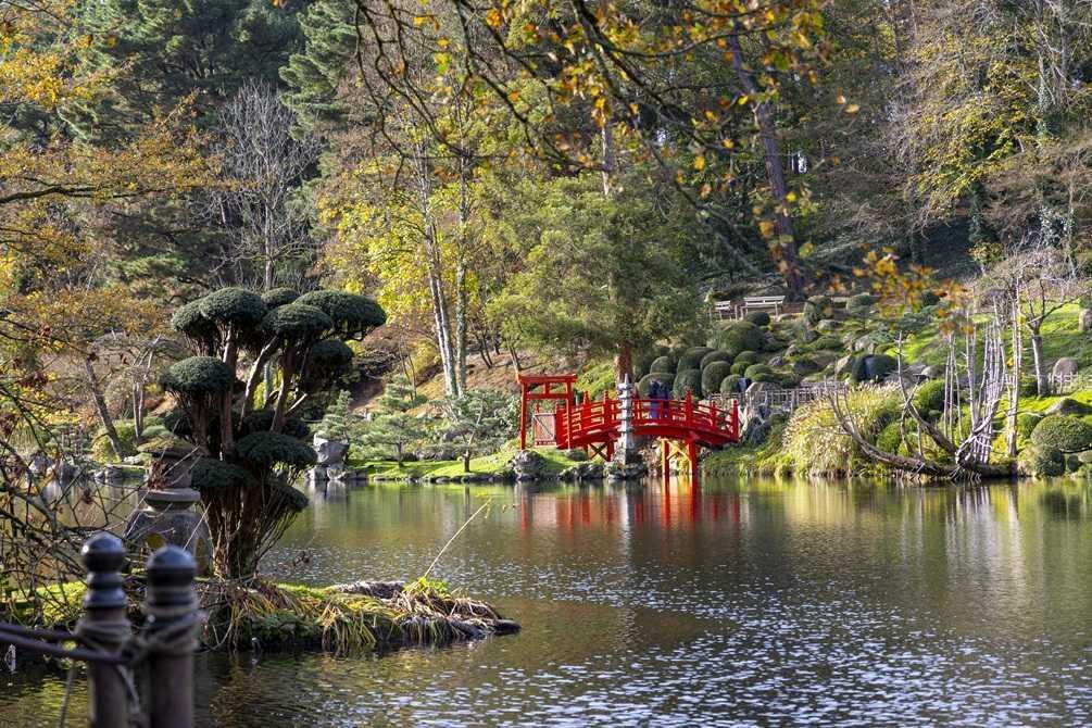 Momiji : pique-niquer sous les érables rouges du Parc Oriental de Maulévrier Momiji : pique-niquer sous les érables rouges du Parc Oriental de Maulévrier