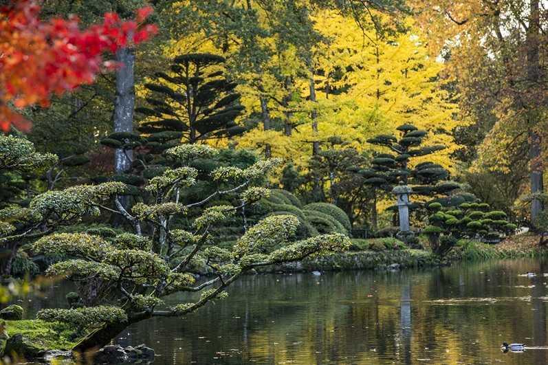 Momiji : pique-niquer sous les érables rouges du Parc Oriental de Maulévrier Momiji : pique-niquer sous les érables rouges du Parc Oriental de Maulévrier