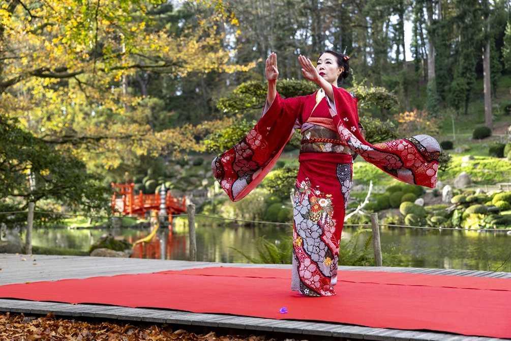 Momiji : pique-niquer sous les érables rouges du Parc Oriental de Maulévrier Momiji : pique-niquer sous les érables rouges du Parc Oriental de Maulévrier