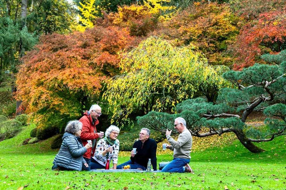 Momiji : pique-niquer sous les érables rouges du Parc Oriental de Maulévrier